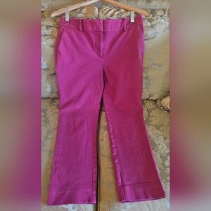 Ann Taylor Factory Magenta Ankle Cropped Pants